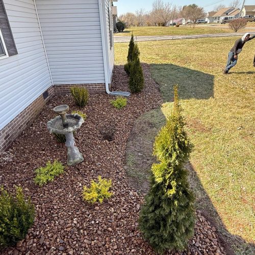 IMG-20251103-WA0189